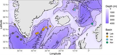 Feeding ecology of Benthosema glaciale across the North Atlantic